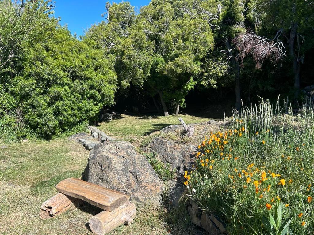 Melipal Schuss Arg41 San Carlos de Bariloche